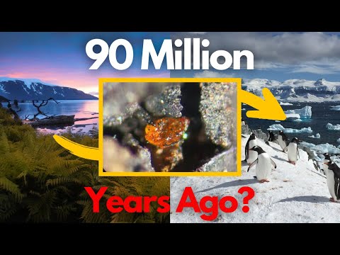 ANTARCTICA WAS A TROPICAL RAINFOREST: A Piece of AMBER Proves It | 90 MILLION YEARS AGO