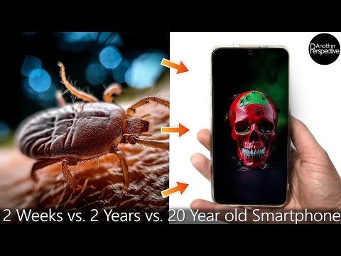 Smartphone under the Microscope will give you Nightmares