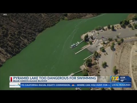 Pyramid Lake too dangerous for swimming