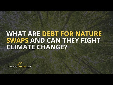 What is a Debt for Nature Swap and How Does it Work? | Examples