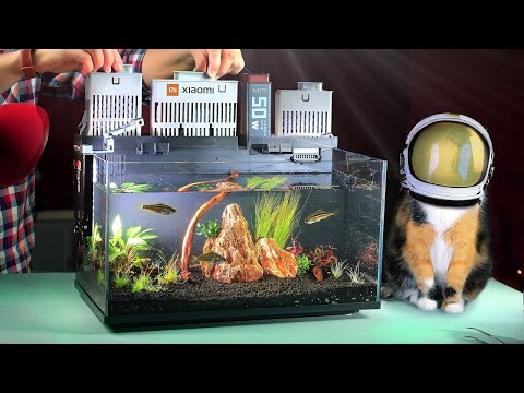 WE BOUGHT A FUTURISTIC AQUARIUM ON ALIEXPRESS