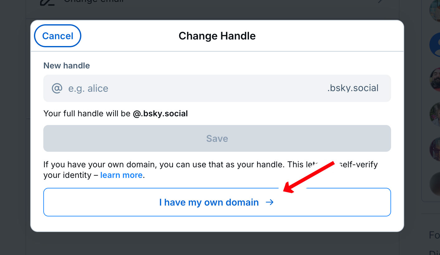 Bluesky Domain Handle