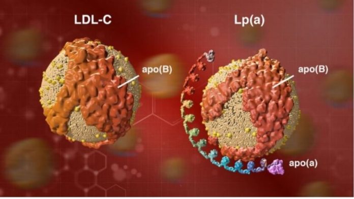 Ενθαρρυντικά αποτελέσματα με πειραματικό φάρμακο για τη λιποπρωτεΐνη (a)