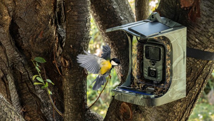 EVOLVEO StrongVision BirdFeeder: Έξυπνος τροφοδότης πουλιών με κάμερα, απομακρυσμένη πρόσβαση και ηλιακό πάνελ