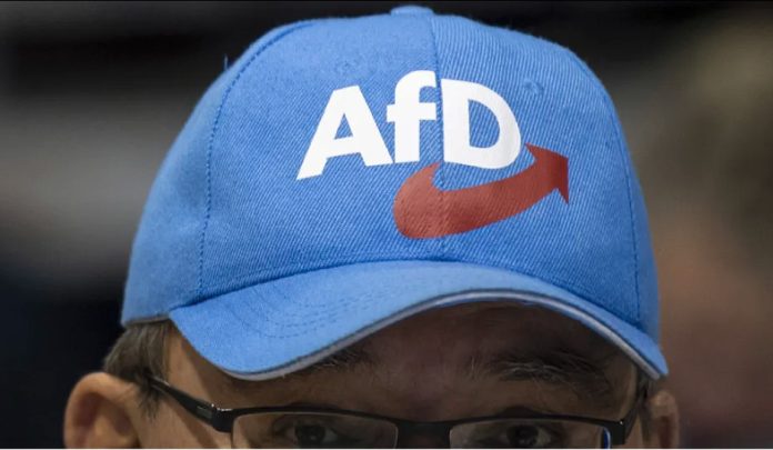 Αποκαλύψεις για συνάντηση AfD-νεοναζί στην Ελβετία - - TechFreak.GR