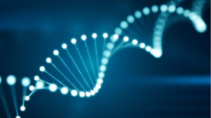 Η Γαλλική Startup DNA: Αποθήκευση Δεδομένων της Ανθρωπότητας σε Rack Κέντρο Δεδομένων