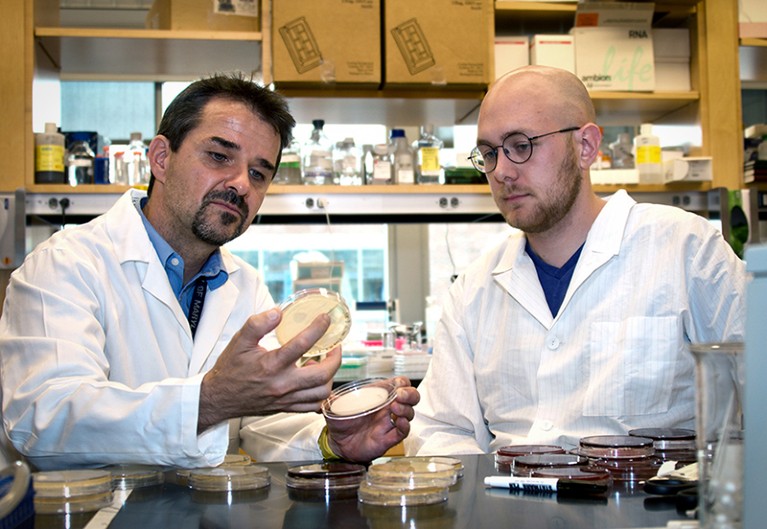 Two seated men in labcoats examine petri dishes in a full laboratory