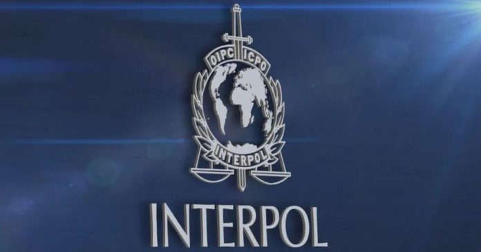 Η Interpol συλλαμβάνει 5500+ απατεώνες και αποτρέπει απώλειες $400 εκατ.