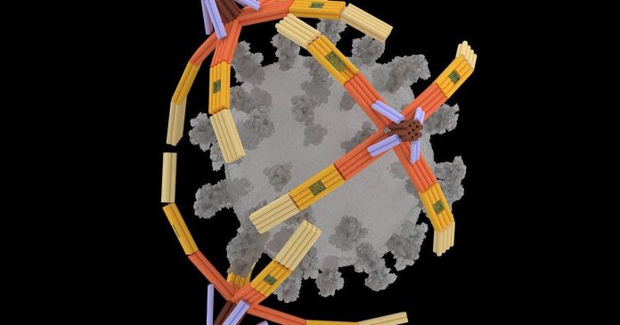 NanoGripper: Νανορομπότ από DNA καταπολεμά τους ιούς