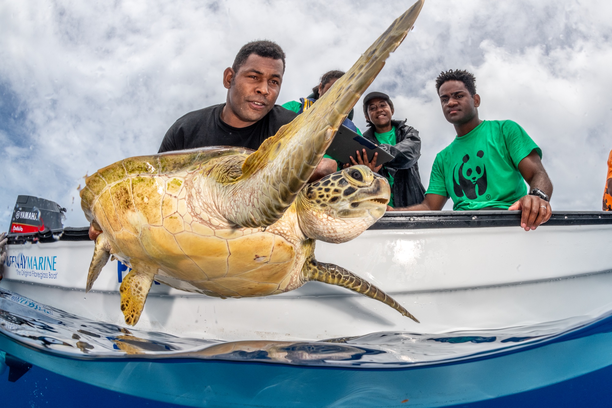 15 breathtaking underwater wildlife images - TechFreak.GR