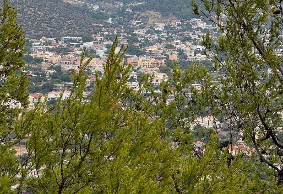 Προάστια: Βόρεια ή Νότια - Επιλογές Επενδυτών - TechFreak.GR