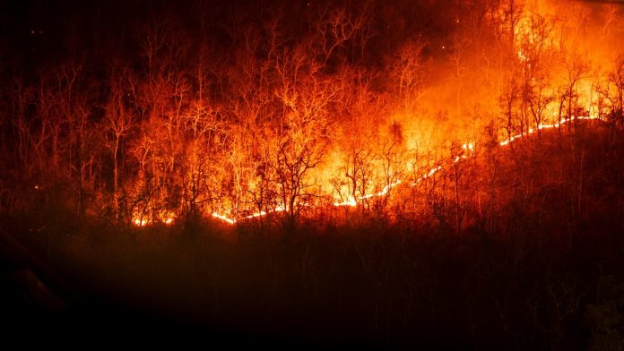 Απελευθέρωση 800 φυλακισμένων στις φυλακές του Λος Άντζελες - TechFreak.GR