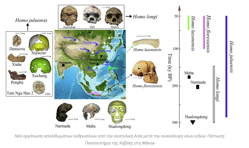 Νέο ανθρώπινο είδος ανακαλύφθηκε από επιστήμονες - FOXreport.gr - TechFreak.GR