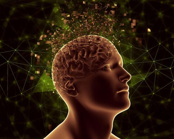 Πρόβλεψη IQ με AI: Ανασκόπηση Cerebrum IQ - TechFreak.GR